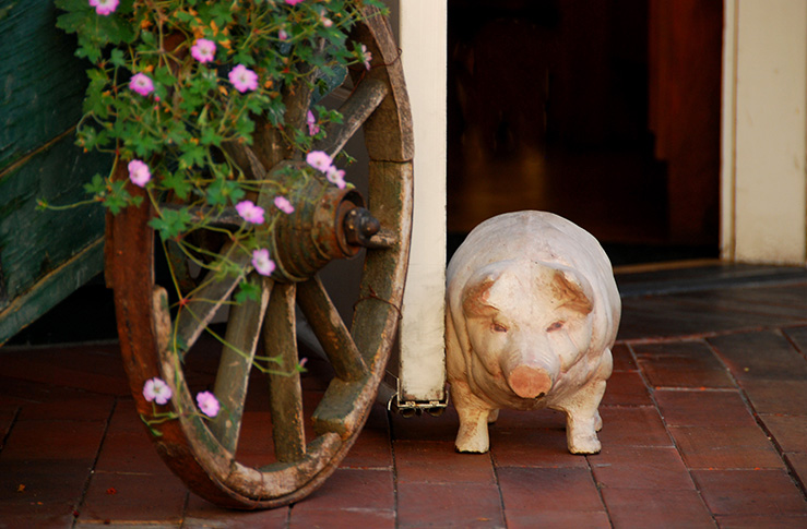 Pantry-Pig-w-Flowers